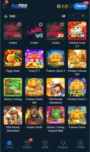 HE786 Game