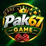 Pak67 Game Logo
