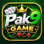 Pak9 Game Logo