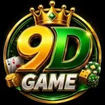9D Game