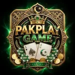 PakPlay Game Logo